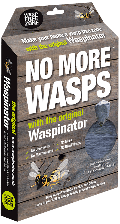 Bad behaviour by wasps 1 What do wasps eat? It changes according to the time of year. Wasp grubs need a…